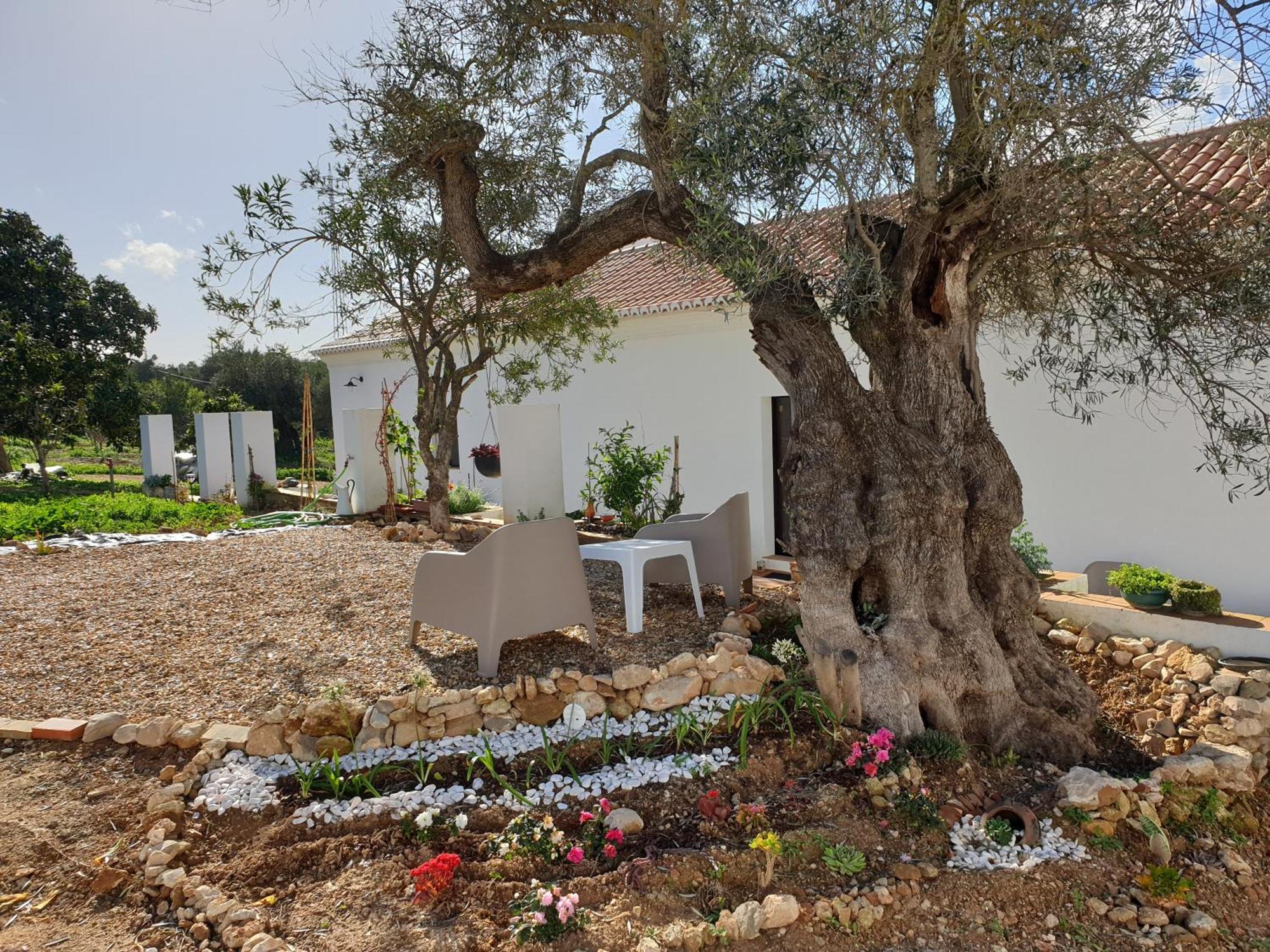 Monte Das Acoteias - Agroturismo Tavira Exteriör bild