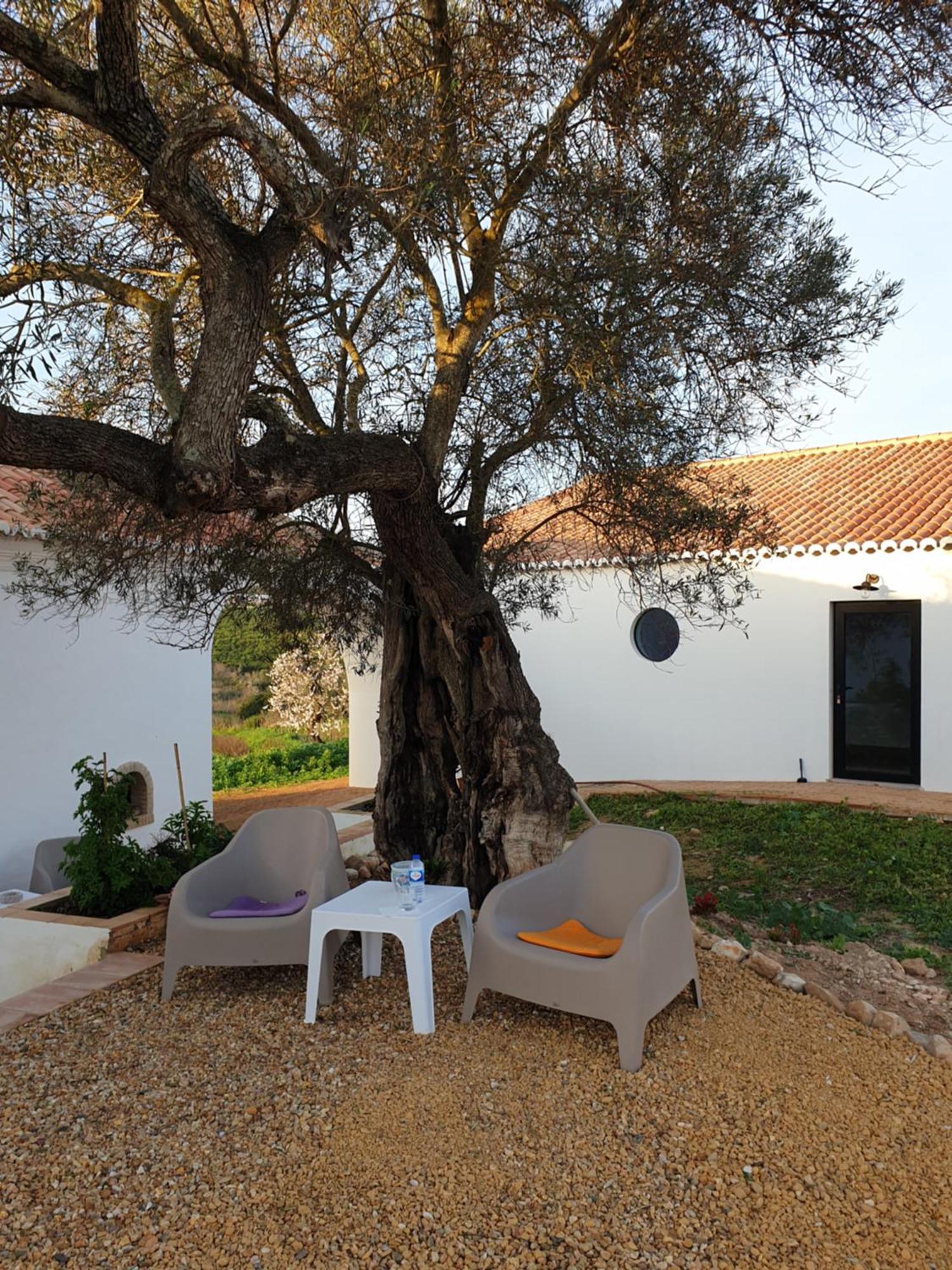 Monte Das Acoteias - Agroturismo Tavira Exteriör bild